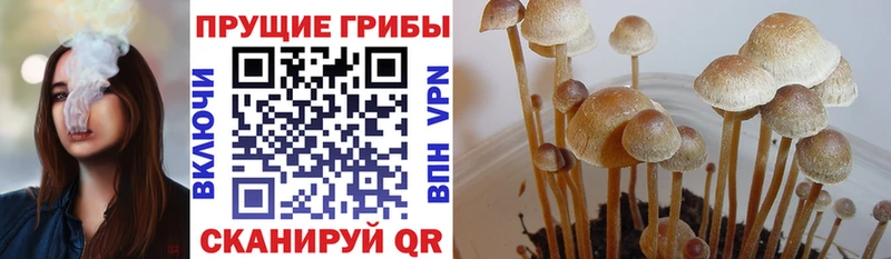 Галлюциногенные грибы мухоморы  Макарьев 